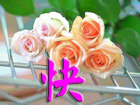 祝愿您新的一天心情愉快,愿清晨的问候带给您愉快的一天