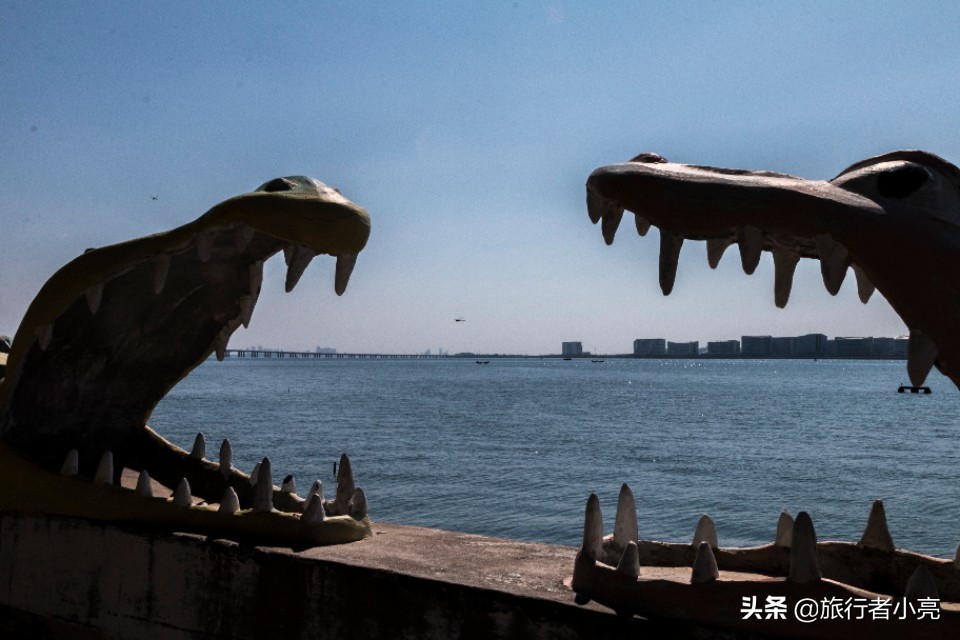 福建厦门十大旅游景点,福建厦门旅游十大必去景区