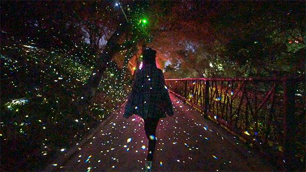 女神节优惠门票深圳,女神节深圳游玩攻略