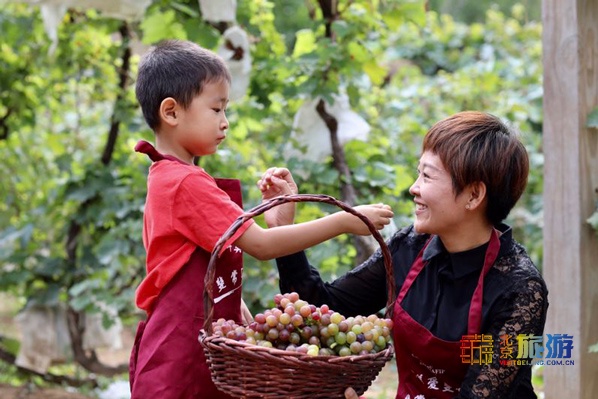 周末游玩避暑尽在密云清凉谷,北京密云冬天游玩攻略