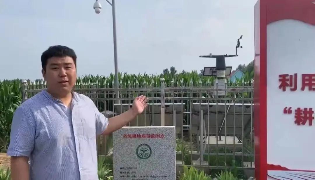 大熊猫这么可爱大家喜欢它吗,耕地中的大熊猫吃什么