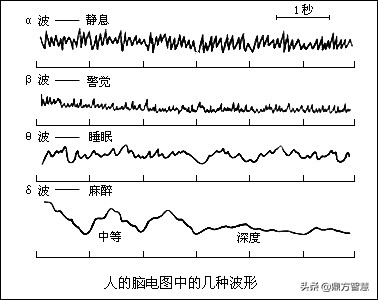 阿尔法脑波音提高记忆力,智慧之声音乐