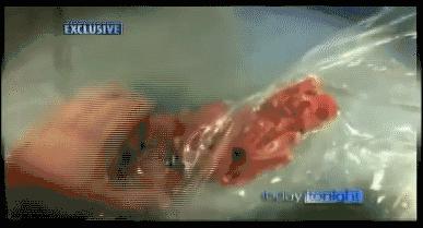 澳洲牛肉骗局揭秘,澳洲牛肉真相揭秘