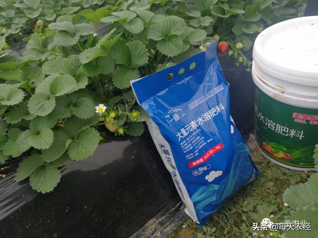 土壤氮磷钾多少含量用多少肥,氮磷钾肥地下用还是地上用