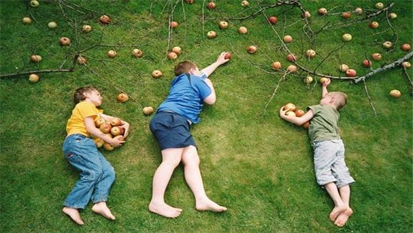 11岁孩子独立完成事情应该怎么夸,孩子第一次完成任务怎么夸