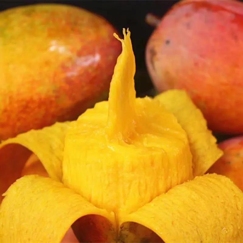 六月吃哪三种水果,5月多吃这些水果营养又健康