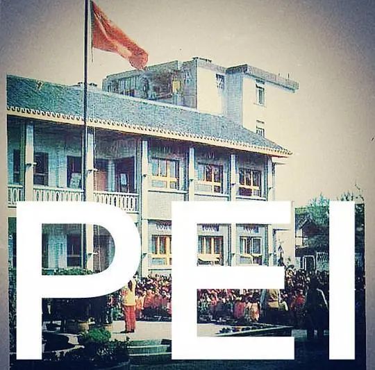 郫县豆瓣酱黑豆瓣,郫县黑豆瓣