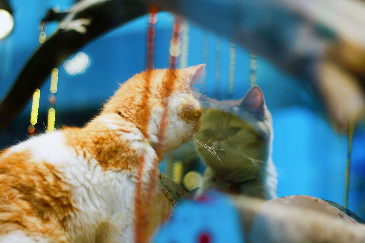 为什么自大的人更容易成功,自大自负的人有什么后果