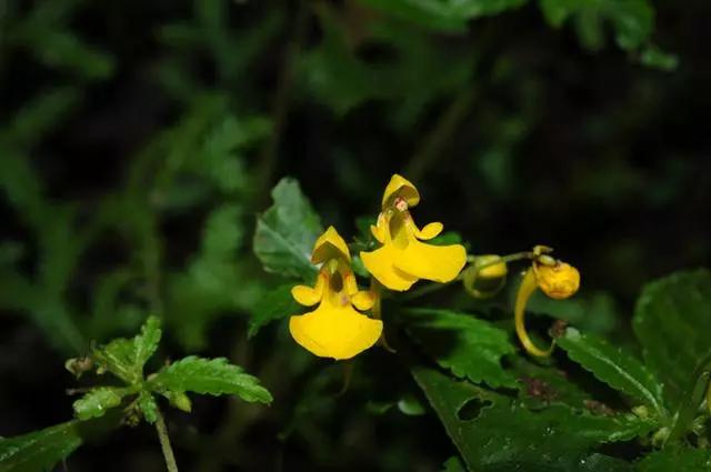 怎么消除烦恼的小窍门,生活小窍门消除烦恼