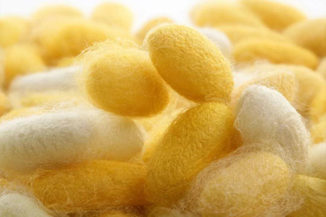 真丝养肤是智商税吗,真丝真的可以美容么