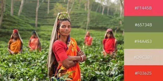 999张照片模板,999999999的创意图片