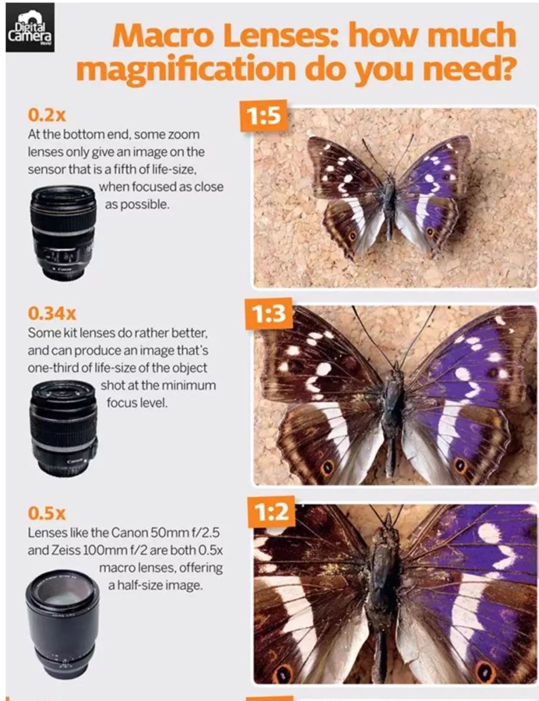 100mm微距一代和二代,90mm更好用的微距