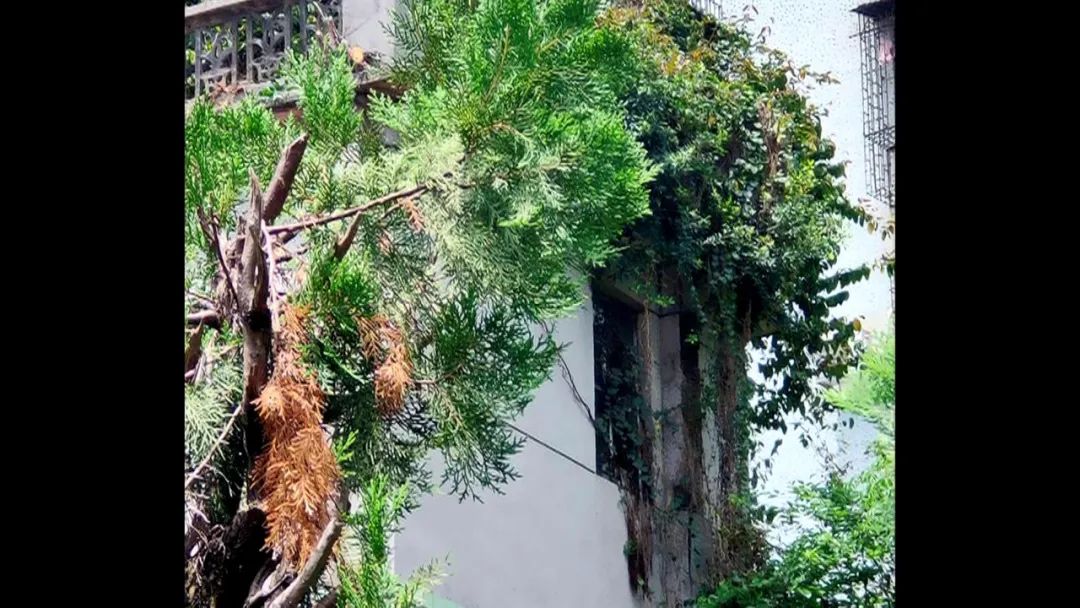 惠城区社区矫正活动范围,惠城区社会治安综合治理中心