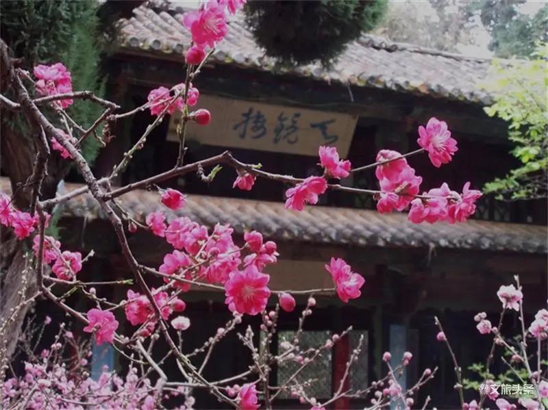 瞧!这花花世界谁不爱