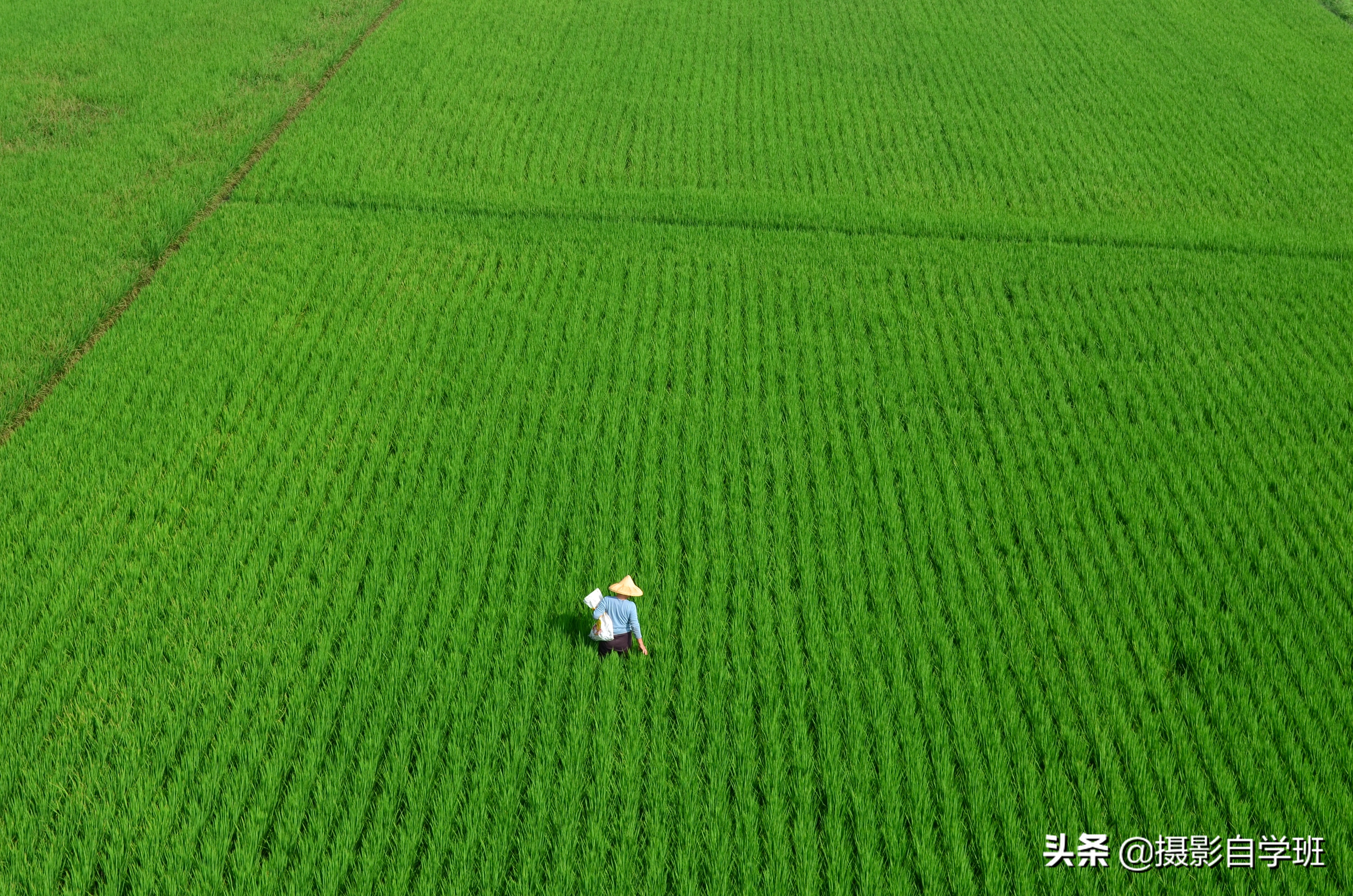40个拍照技巧口诀,拍照技巧大全教你拍出好照片