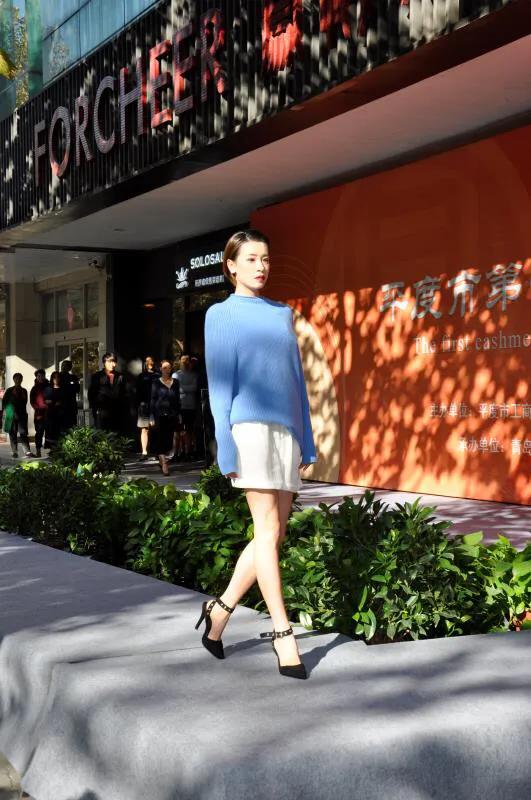 羊绒制品起源,中国羊绒历史简介