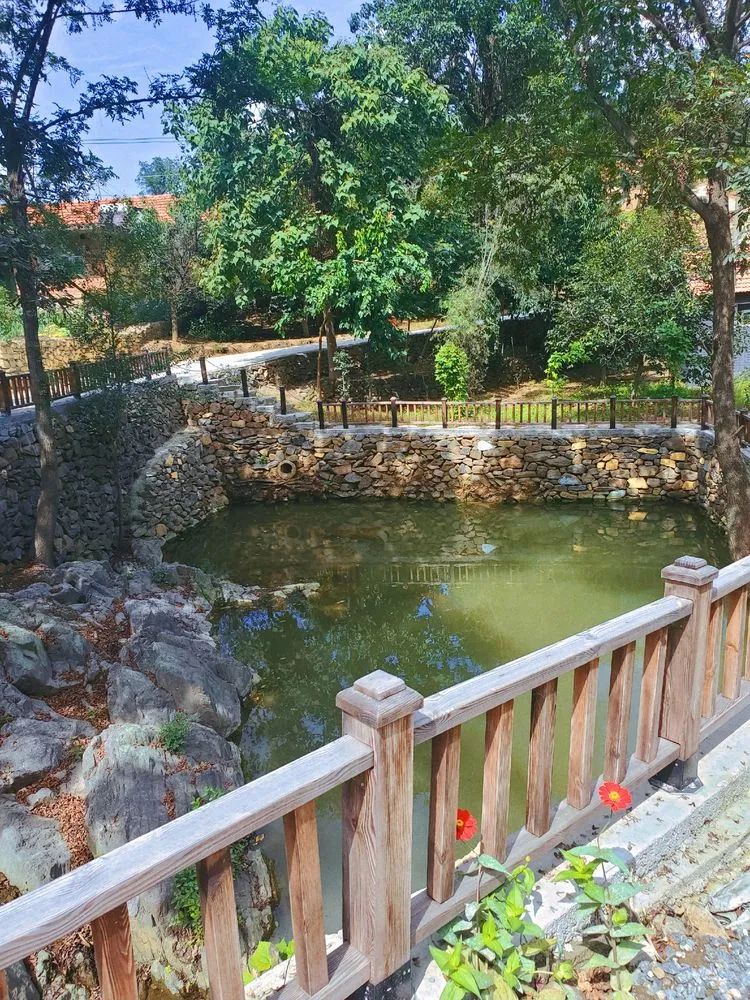 济南申请加入“大乱斗”！@理塘丁真，你的珍珠……泉在这里！