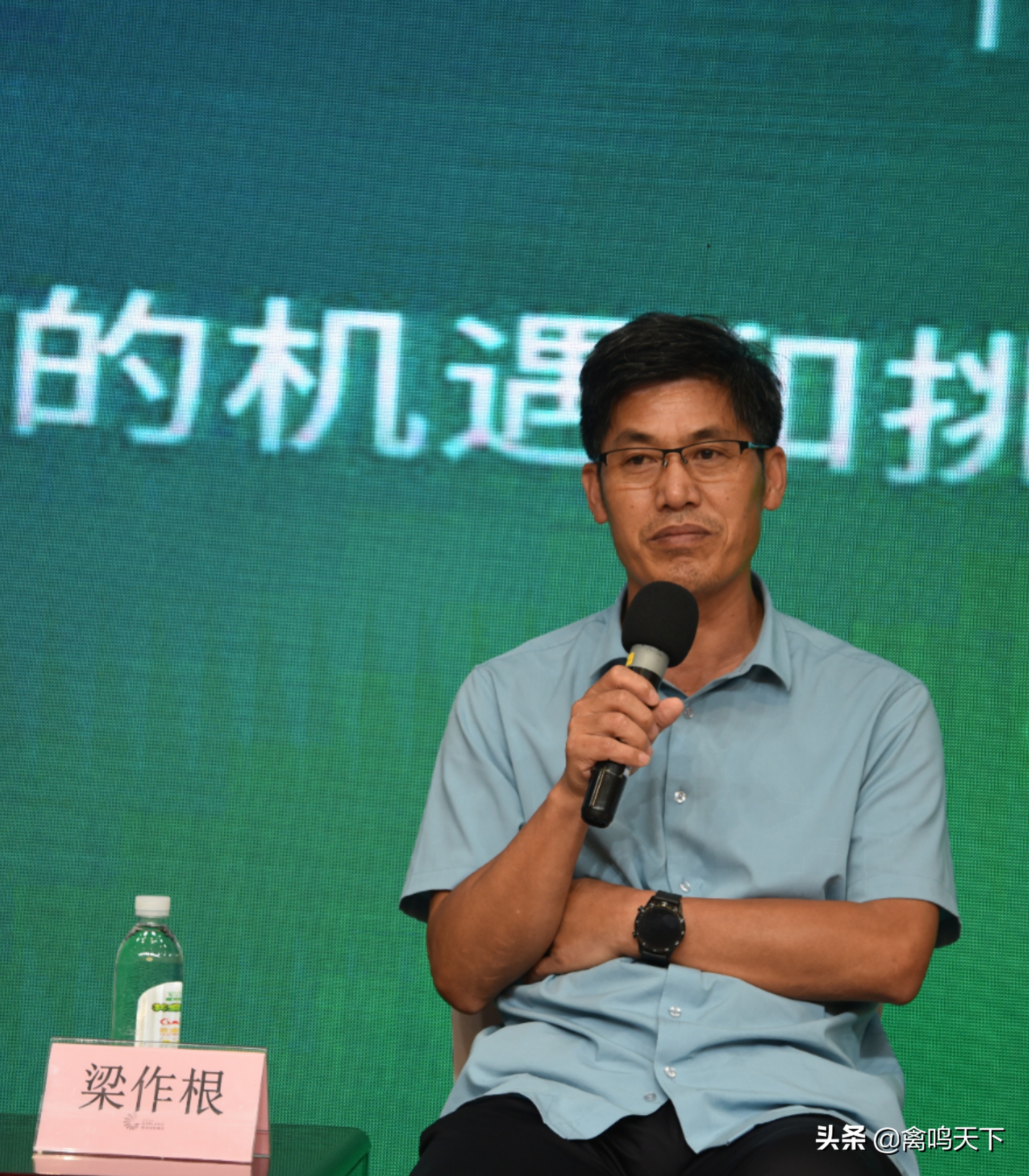 蛋品品牌运营,对话品牌蛋企