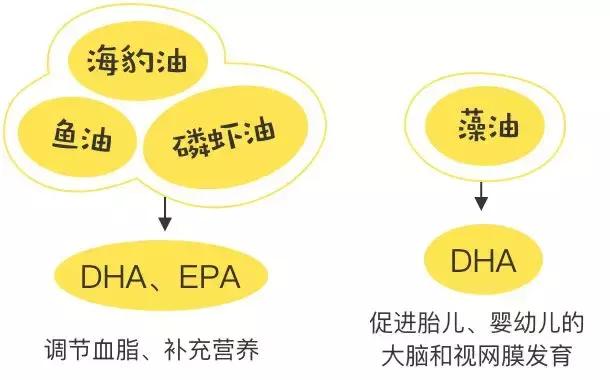 吴昕天天嗑的这瓶保健品,实测不咋地哦