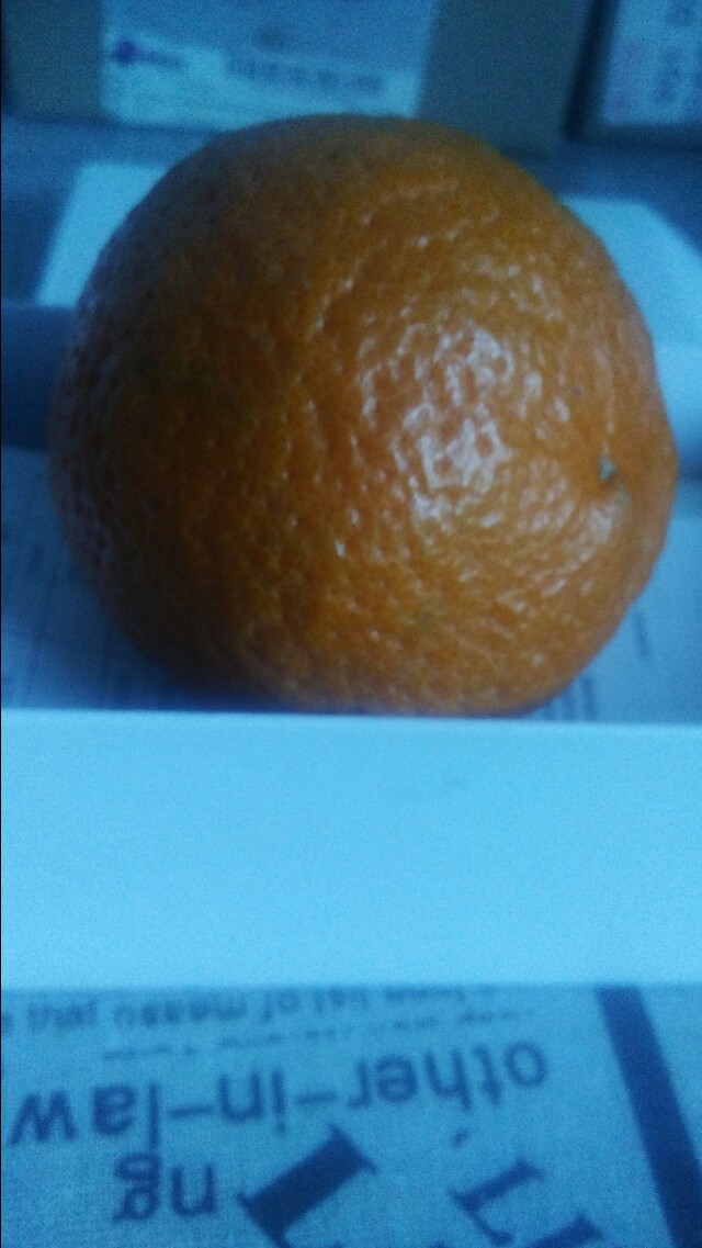 橘子皮可以擦脸,橘子皮擦什么最好