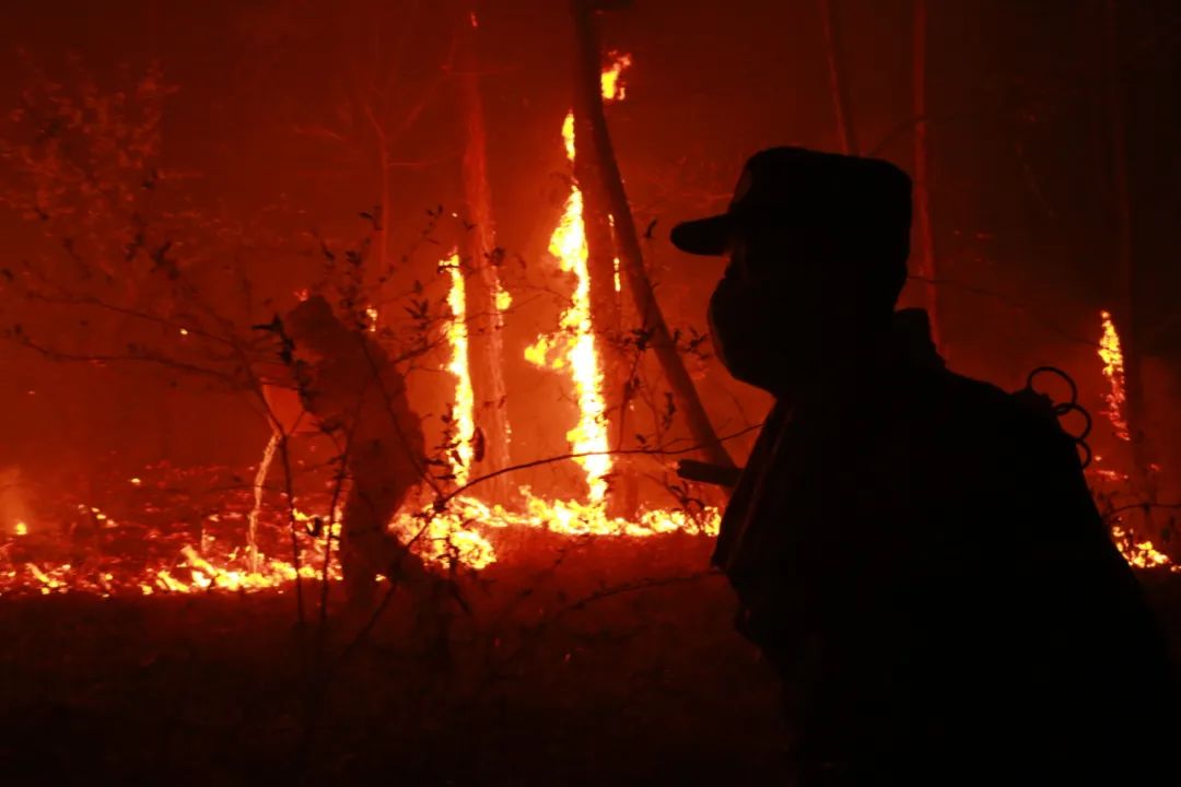 我的老班长真实事件,老班长的牺牲