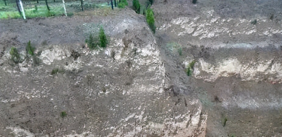 奇闻异事女子怀孕4年,奇闻怪事女子怀孕4年