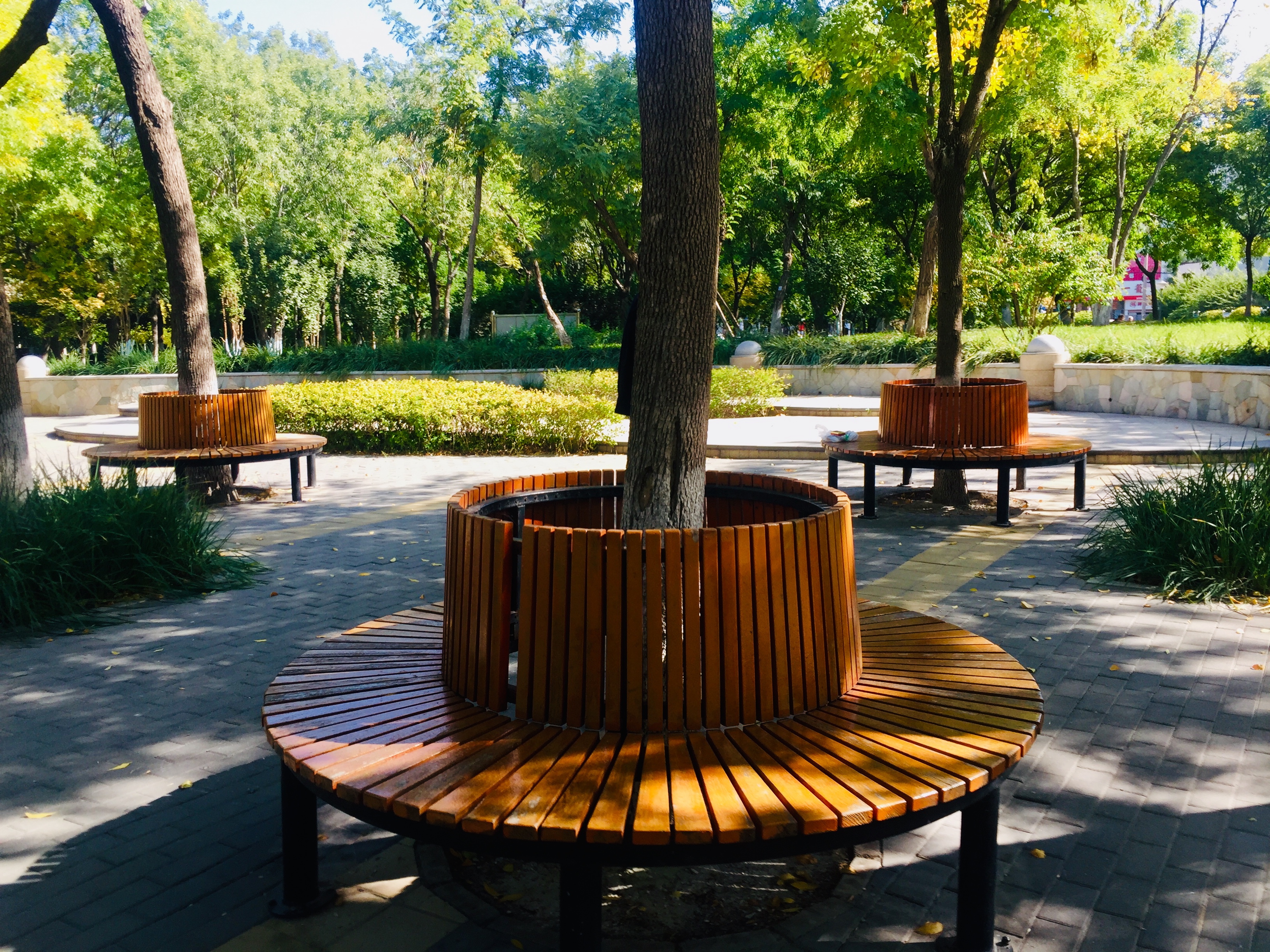 天津森林公园儿童乐园项目介绍,滨海新区适合带孩子玩的公园