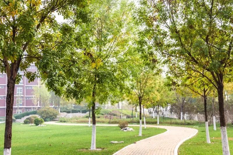 天津医科大学七所直属医院,天津医科大学独立学院是几本