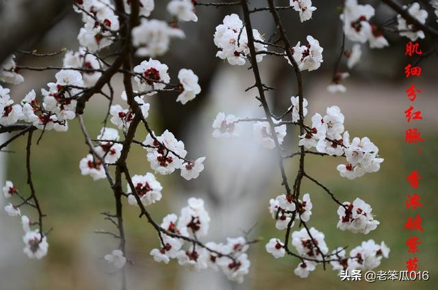 高三了应该有怎样的学习态度,给准高三学生的学习建议