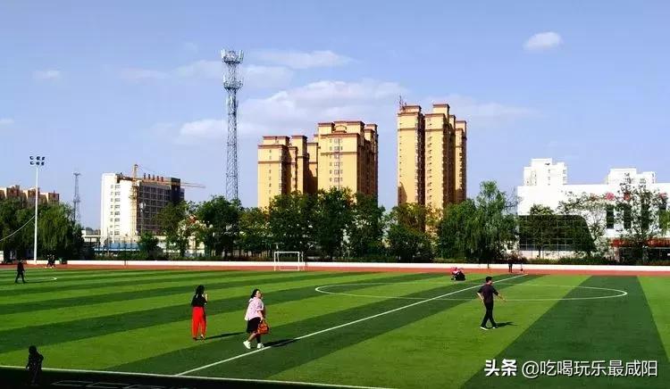 陕西哪三个县被评为天然氧吧,陕西中国天然氧吧之城