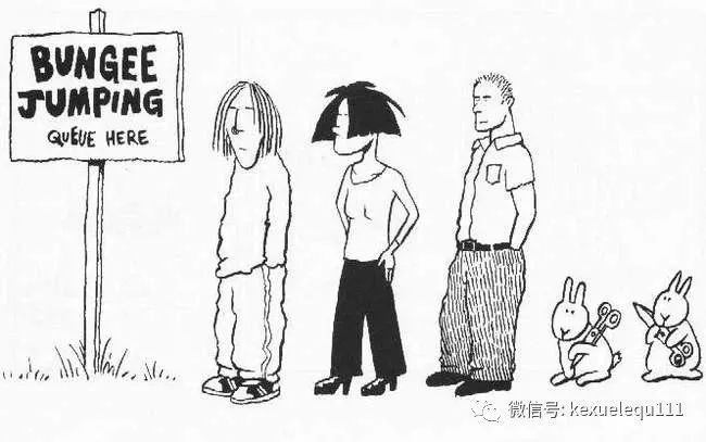 杀死兔子的方法,杀死兔子有什么后果