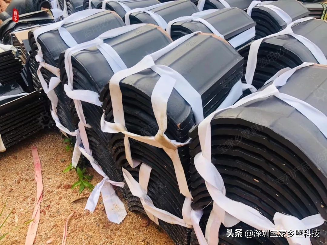 宝家乡墅全景图,宝家乡墅后续