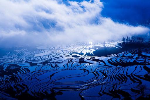西双版纳风景之旅自由行旅游攻略,邂逅雨林西双版纳秘境之旅