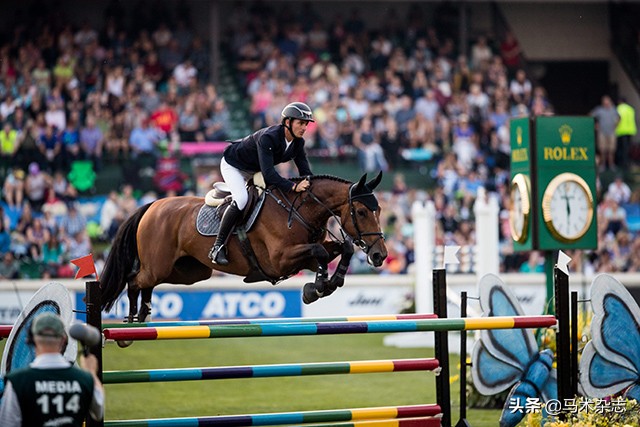 什么！听说几天后云杉草地将会上演一场冠军“厮杀”?