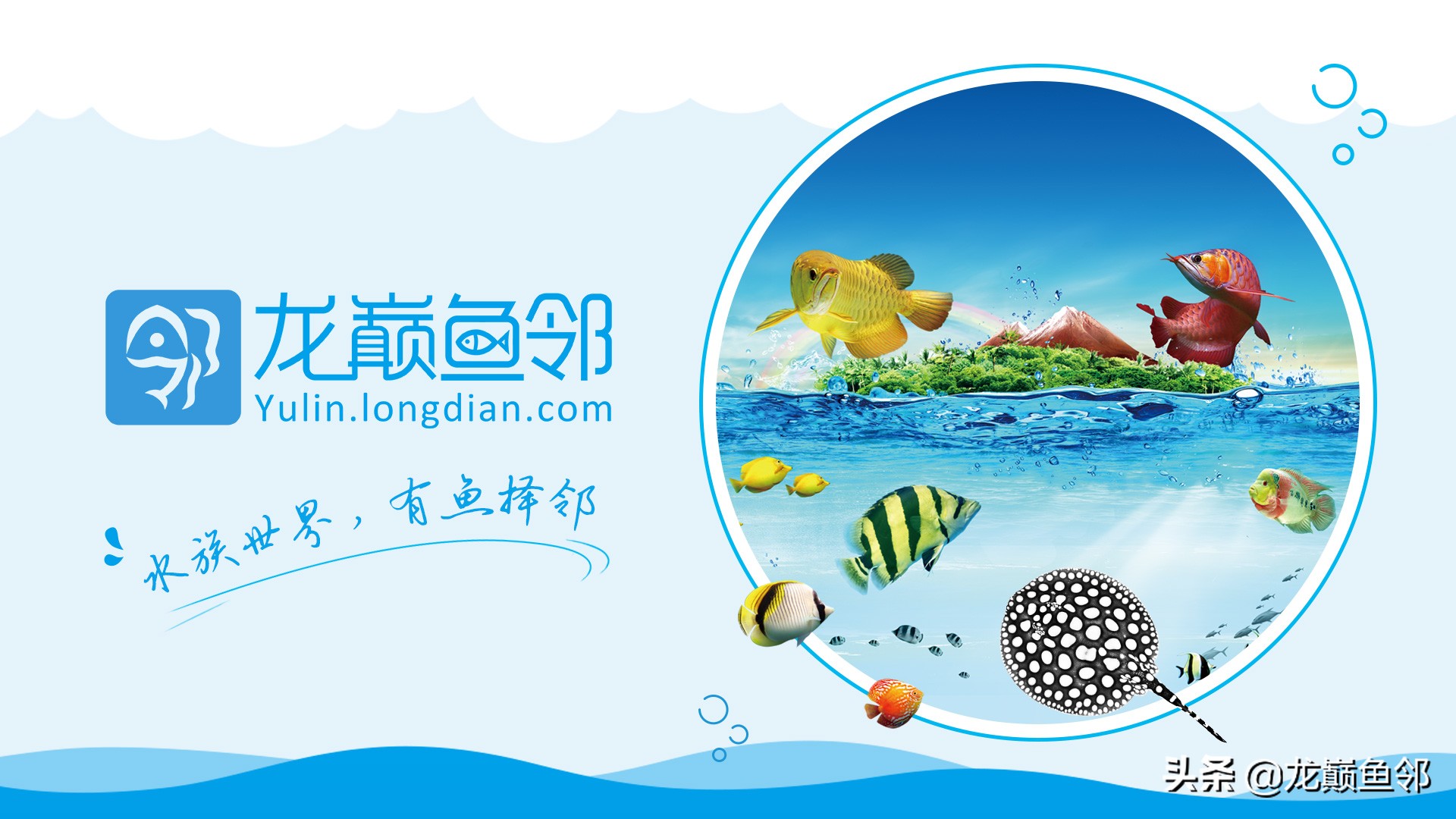 利他思维赚钱秘诀,利他企业成功案例