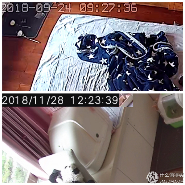 白天不在家猫喂食怎么办,白天不在家猫怎么养