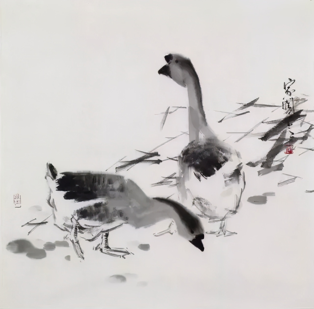 国画名家画鹅欣赏,国画大师画鹅视频