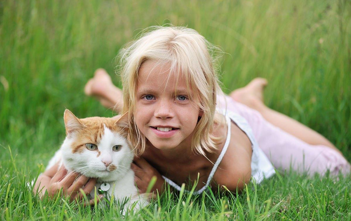 养猫孩子长猫癣什么原因,人得了猫癣怎么养猫