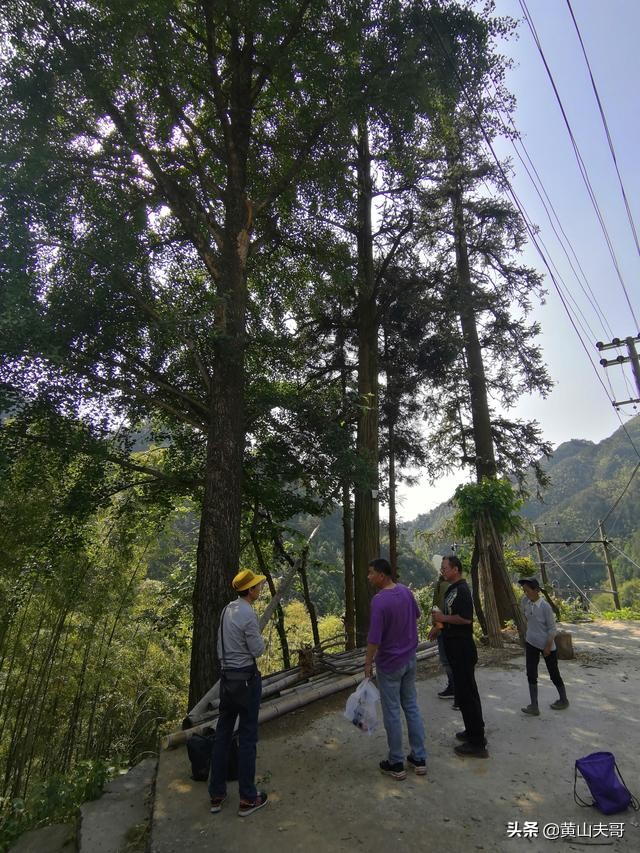 黄山最吓人景区,黄山爬山最吓人的地方