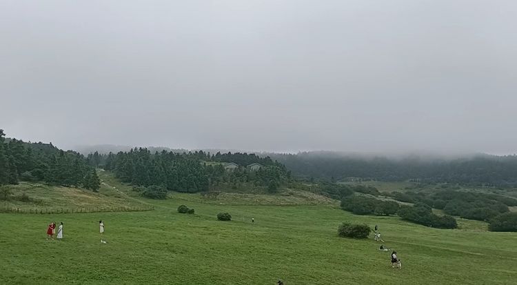 大美武隆仙女山,畅游重庆武隆区仙女山