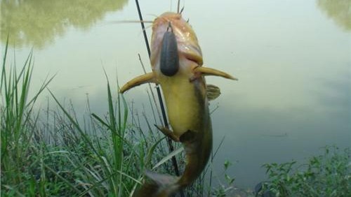 串钩的钓法和使用技巧,串钩钓法太呆板