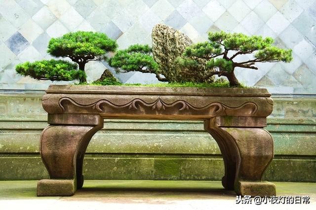 清朝富商胡雪岩故居,清末富商胡雪岩故居