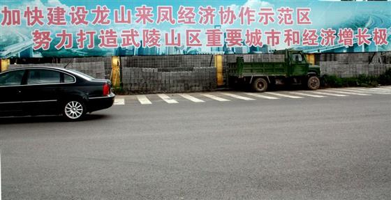 黄山的金凤凰,山沟里的金凤凰湖北