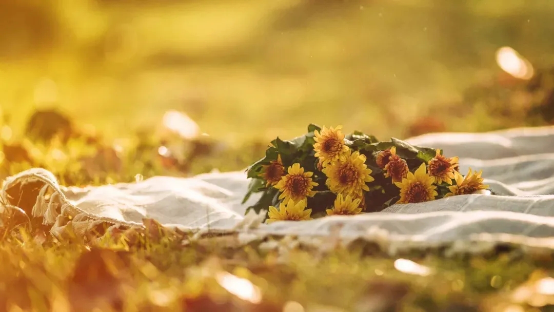 心态崩了该怎么调整,贷款心态崩了怎么调整心态