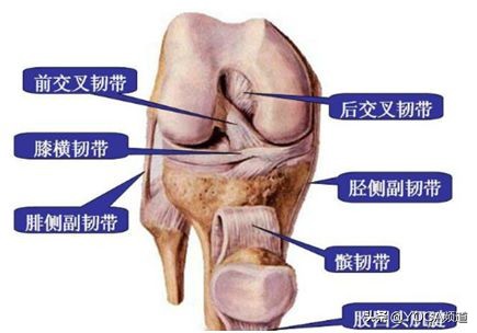 怎么拉伸韧带视频教程,怎样拉伸韧带不容易受伤