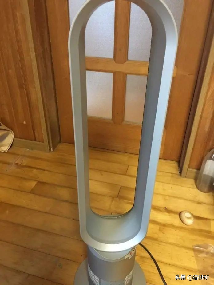 猫咪夏季好物推荐平价,猫咪防抓好物推荐