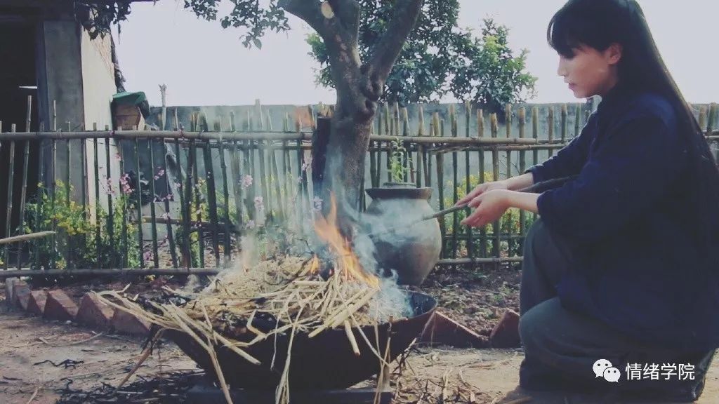 李子柒网红文化,李子柒是抖音最火网红吗