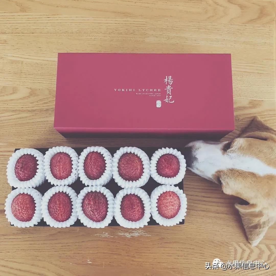 日本农业发达到什么程度?荔枝、香蕉、菠萝竟然用温室来种