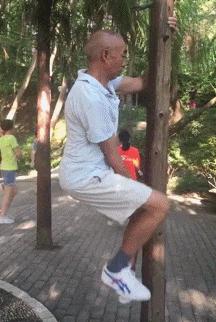 金毛搞笑表情图片伸手,金毛玩耍的动图搞笑