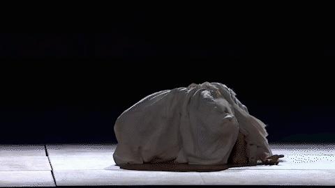 水井坊冬季奥运纪念酒,茅台2008年奥运纪念酒